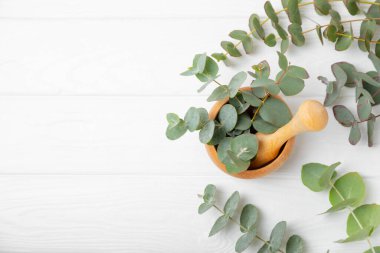 Tahta zeminde okaliptüs yaprakları ve harç. Alternatif tıp ve doğal kozmetik ürünleri için spa konsepti. Bir şişe gerekli yağ ve bir demet okaliptüs. Organik cilt bakımı 