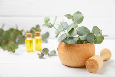 Tahta zeminde okaliptüs yaprakları ve harç. Alternatif tıp ve doğal kozmetik ürünleri için spa konsepti. Bir şişe gerekli yağ ve bir demet okaliptüs. Organik cilt bakımı 