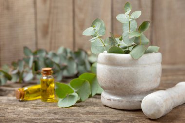 Tahta zeminde okaliptüs yaprakları ve harç. Alternatif tıp ve doğal kozmetik ürünleri için spa konsepti. Bir şişe gerekli yağ ve bir demet okaliptüs. Organik cilt bakımı 