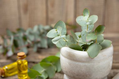 Tahta zeminde okaliptüs yaprakları ve harç. Alternatif tıp ve doğal kozmetik ürünleri için spa konsepti. Bir şişe gerekli yağ ve bir demet okaliptüs. Organik cilt bakımı 