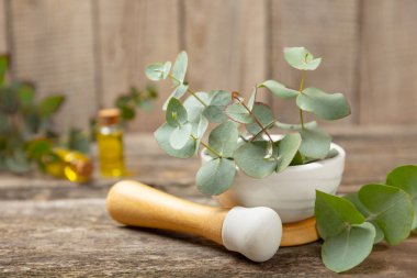 Tahta zeminde okaliptüs yaprakları ve harç. Alternatif tıp ve doğal kozmetik ürünleri için spa konsepti. Bir şişe gerekli yağ ve bir demet okaliptüs. Organik cilt bakımı 