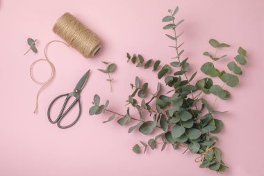 Okaliptüs yaprakları. Aromaterapi. Arka planda taze okaliptüs var. Güzel kokulu gerekli yağ. Yukarıdan bak. Uzayı kopyala Doğal kozmetik ürünleri ve cilt bakımı konsepti.