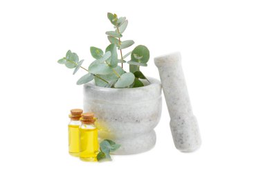 Okaliptüs yaprakları ve havan topu beyaz arka planda izole edildi. Spa konsepti. Alternatif tıp ve doğal kozmetik malzemeleri. Bir şişe gerekli yağ ve bir demet okaliptüs. Organik cilt bakımı