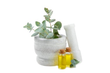 Okaliptüs yaprakları ve havan topu beyaz arka planda izole edildi. Spa konsepti. Alternatif tıp ve doğal kozmetik malzemeleri. Bir şişe gerekli yağ ve bir demet okaliptüs. Organik cilt bakımı