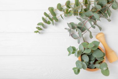 Tahta zeminde okaliptüs yaprakları ve harç. Alternatif tıp ve doğal kozmetik ürünleri için spa konsepti. Bir şişe gerekli yağ ve bir demet okaliptüs. Organik cilt bakımı 