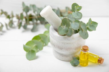 Tahta zeminde okaliptüs yaprakları ve harç. Alternatif tıp ve doğal kozmetik ürünleri için spa konsepti. Bir şişe gerekli yağ ve bir demet okaliptüs. Organik cilt bakımı 