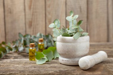 Tahta zeminde okaliptüs yaprakları ve harç. Alternatif tıp ve doğal kozmetik ürünleri için spa konsepti. Bir şişe gerekli yağ ve bir demet okaliptüs. Organik cilt bakımı 