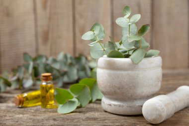 Tahta zeminde okaliptüs yaprakları ve harç. Alternatif tıp ve doğal kozmetik ürünleri için spa konsepti. Bir şişe gerekli yağ ve bir demet okaliptüs. Organik cilt bakımı 