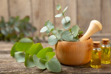 Tahta zeminde okaliptüs yaprakları ve harç. Alternatif tıp ve doğal kozmetik ürünleri için spa konsepti. Bir şişe gerekli yağ ve bir demet okaliptüs. Organik cilt bakımı 