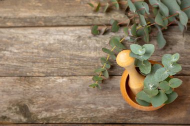 Tahta zeminde okaliptüs yaprakları ve harç. Alternatif tıp ve doğal kozmetik ürünleri için spa konsepti. Bir şişe gerekli yağ ve bir demet okaliptüs. Organik cilt bakımı 