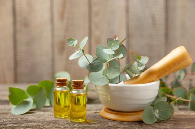 Tahta zeminde okaliptüs yaprakları ve harç. Alternatif tıp ve doğal kozmetik ürünleri için spa konsepti. Bir şişe gerekli yağ ve bir demet okaliptüs. Organik cilt bakımı 