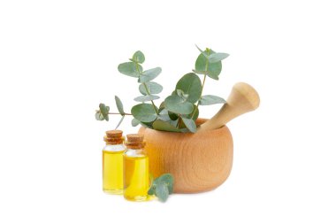 Okaliptüs yaprakları ve havan topu beyaz arka planda izole edildi. Spa konsepti. Alternatif tıp ve doğal kozmetik malzemeleri. Bir şişe gerekli yağ ve bir demet okaliptüs. Organik cilt bakımı