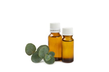 Okaliptüs, yeşil okaliptüs yapraklı cam bir şişede beyaz arka planda bulunan gerekli yağdır. Aromaterapi. Spa mı? Doğal kozmetoloji ve güzellik endüstrisi kavramı.