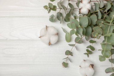 Okaliptüs yaprakları. Aromaterapi. Arka planda taze okaliptüs var. Güzel kokulu gerekli yağ. Yukarıdan bak. Uzayı kopyala Doğal kozmetik ürünleri ve cilt bakımı konsepti.