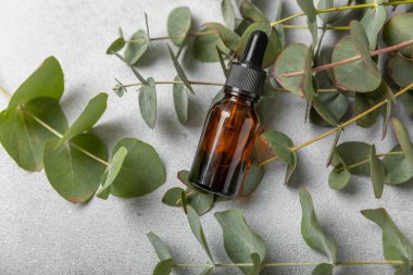 Okaliptüs, ahşap kaplamalı yeşil okaliptüs yapraklı cam bir şişede gerekli yağdır. Aromaterapi konsepti. Spa mı? Kozmetik ve vücut bakımı için doğal organik malzemeler.