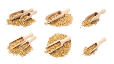 Beyaz arka planda izole edilmiş tahta kaşıkta yeşil karabuğday. Süper yemek. Çiğ karabuğday lapası. Sağlıklı vejetaryen yiyecekler, ekolojik ürünler, diyet, organik.