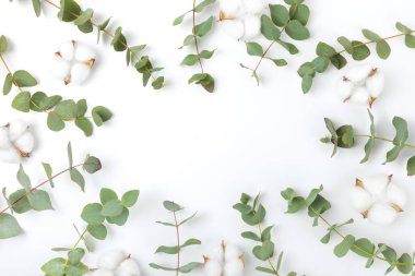 Beyaz arka planda yeşil okaliptüs yaprakları. Aromaterapi. Güzel okaliptüs dalları. Buket. Metin için yer, kopyalama alanı, modelleme