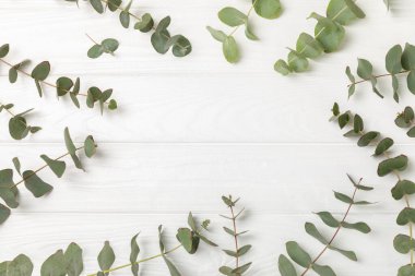 Okaliptüs yaprakları. Aromaterapi. Arka planda taze okaliptüs var. Güzel kokulu gerekli yağ. Yukarıdan bak. Uzayı kopyala Doğal kozmetik ürünleri ve cilt bakımı konsepti.