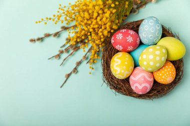Yuvasında parlak bir turkuaz arka planda mimoza çiçekleri olan Paskalya yumurtaları. Paskalya kutlaması. El yapımı renkli Paskalya yumurtaları. Mesaj için yer. Boşluğu kopyala.