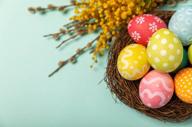 Yuvasında parlak bir turkuaz arka planda mimoza çiçekleri olan Paskalya yumurtaları. Paskalya kutlaması. El yapımı renkli Paskalya yumurtaları. Mesaj için yer. Boşluğu kopyala.