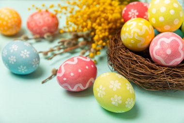 Yuvasında parlak bir turkuaz arka planda mimoza çiçekleri olan Paskalya yumurtaları. Paskalya kutlaması. El yapımı renkli Paskalya yumurtaları. Mesaj için yer. Boşluğu kopyala.