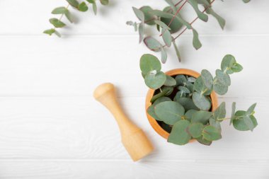 Tahta zeminde okaliptüs yaprakları ve harç. Alternatif tıp ve doğal kozmetik ürünleri için spa konsepti. Bir şişe gerekli yağ ve bir demet okaliptüs. Organik cilt bakımı 