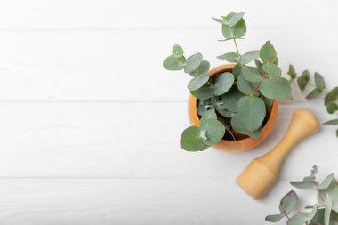 Tahta zeminde okaliptüs yaprakları ve harç. Alternatif tıp ve doğal kozmetik ürünleri için spa konsepti. Bir şişe gerekli yağ ve bir demet okaliptüs. Organik cilt bakımı 