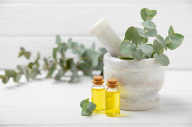 Tahta zeminde okaliptüs yaprakları ve harç. Alternatif tıp ve doğal kozmetik ürünleri için spa konsepti. Bir şişe gerekli yağ ve bir demet okaliptüs. Organik cilt bakımı 