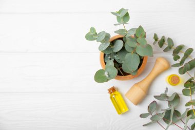 Tahta zeminde okaliptüs yaprakları ve harç. Alternatif tıp ve doğal kozmetik ürünleri için spa konsepti. Bir şişe gerekli yağ ve bir demet okaliptüs. Organik cilt bakımı 