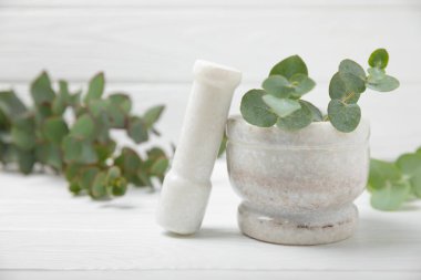 Tahta zeminde okaliptüs yaprakları ve harç. Alternatif tıp ve doğal kozmetik ürünleri için spa konsepti. Bir şişe gerekli yağ ve bir demet okaliptüs. Organik cilt bakımı 