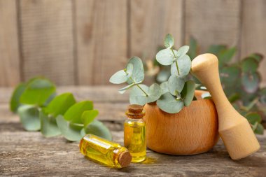 Tahta zeminde okaliptüs yaprakları ve harç. Alternatif tıp ve doğal kozmetik ürünleri için spa konsepti. Bir şişe gerekli yağ ve bir demet okaliptüs. Organik cilt bakımı 