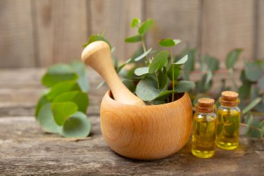 Tahta zeminde okaliptüs yaprakları ve harç. Alternatif tıp ve doğal kozmetik ürünleri için spa konsepti. Bir şişe gerekli yağ ve bir demet okaliptüs. Organik cilt bakımı 
