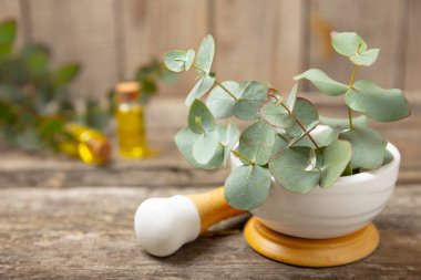 Tahta zeminde okaliptüs yaprakları ve harç. Alternatif tıp ve doğal kozmetik ürünleri için spa konsepti. Bir şişe gerekli yağ ve bir demet okaliptüs. Organik cilt bakımı 