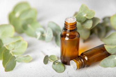 Okaliptüs, ahşap kaplamalı yeşil okaliptüs yapraklı cam bir şişede gerekli yağdır. Aromaterapi konsepti. Spa mı? Kozmetik ve vücut bakımı için doğal organik malzemeler.