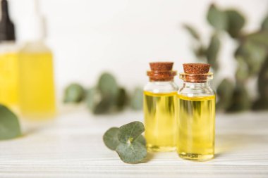 Okaliptüs, ahşap kaplamalı yeşil okaliptüs yapraklı cam bir şişede gerekli yağdır. Aromaterapi konsepti. Spa mı? Kozmetik ve vücut bakımı için doğal organik malzemeler.
