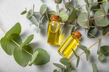 Okaliptüs, ahşap kaplamalı yeşil okaliptüs yapraklı cam bir şişede gerekli yağdır. Aromaterapi konsepti. Spa mı? Kozmetik ve vücut bakımı için doğal organik malzemeler.