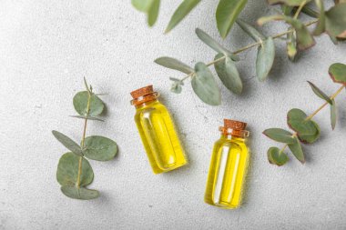 Okaliptüs, ahşap kaplamalı yeşil okaliptüs yapraklı cam bir şişede gerekli yağdır. Aromaterapi konsepti. Spa mı? Kozmetik ve vücut bakımı için doğal organik malzemeler.