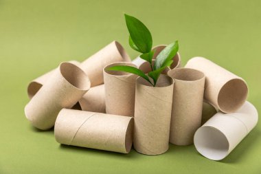 Boş tuvalet kağıdı rulosu. Boş tuvalet kağıdı ruloları ve yeşil arka plan için bitki. Tuvalet kağıdı tüpü. Mesaj için yer. Uzayı kopyala Düz yatıyordu. Çevre dostu yeniden kullanım geri dönüşümü