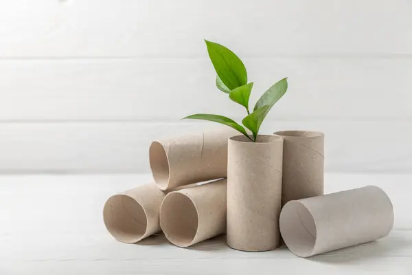 Empty toilet paper roll. Empty toilet paper rolls and plant for on white background. Paper tube of toilet paper. Place for text. Copy space. Flat lay. Eco-friendly reuse recycle