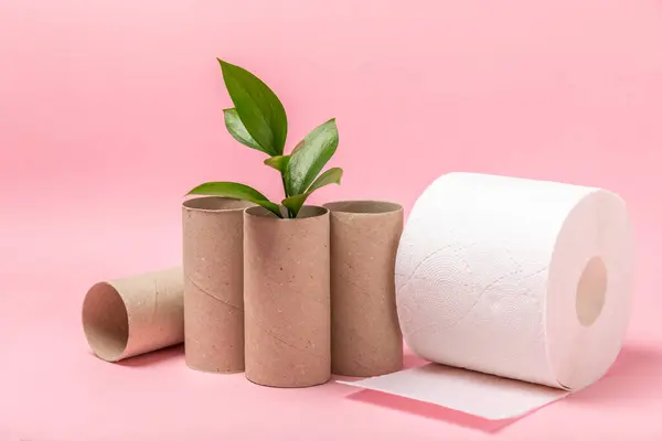 Empty toilet paper roll. Empty toilet paper rolls and plant for on pink background. Paper tube of toilet paper. Place for text. Copy space. Flat lay. Eco-friendly reuse recycle