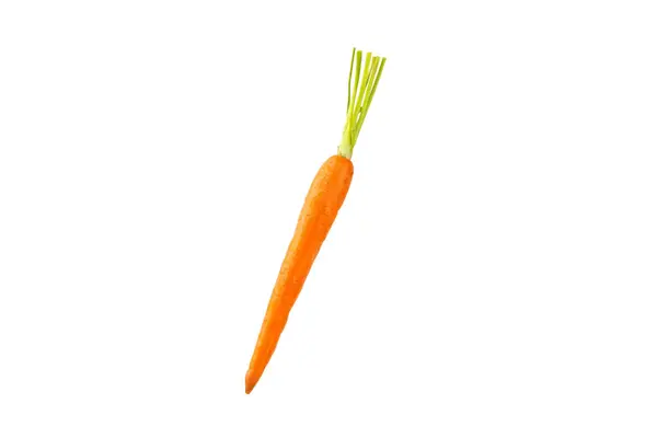 Carrot Isolated White Background Fresh Sweet Organic Carrots White Background — Stock Photo, Image