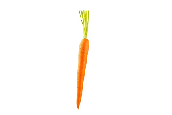Carrot Isolated White Background Fresh Sweet Organic Carrots White Background — Stock Photo, Image