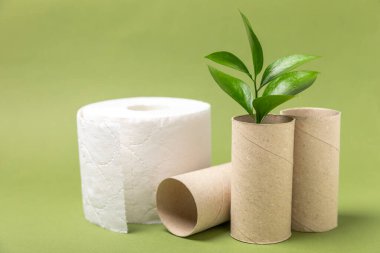 Boş tuvalet kağıdı rulosu. Boş tuvalet kağıdı ruloları ve arka plan için bitki. Tuvalet kağıdı tüpü. Mesaj için yer. Uzayı kopyala Düz yatıyordu. Çevre dostu yeniden kullanım geri dönüşümü