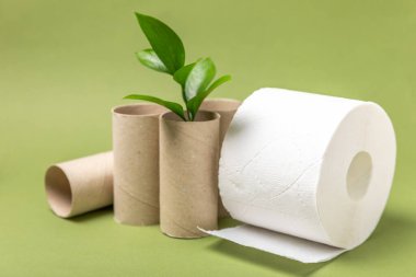 Boş tuvalet kağıdı rulosu. Boş tuvalet kağıdı ruloları ve arka plan için bitki. Tuvalet kağıdı tüpü. Mesaj için yer. Uzayı kopyala Düz yatıyordu. Çevre dostu yeniden kullanım geri dönüşümü