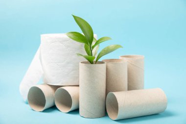 Boş tuvalet kağıdı rulosu. Arka planda tuvalet kağıdı ruloları. Tuvalet kağıdı tüpü. Mesaj için yer. Uzayı kopyala Düz yatıyordu. Çevre dostu yeniden kullanım geri dönüşümü