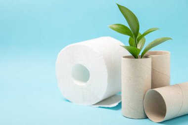 Boş tuvalet kağıdı rulosu. Arka planda tuvalet kağıdı ruloları. Tuvalet kağıdı tüpü. Mesaj için yer. Uzayı kopyala Düz yatıyordu. Çevre dostu yeniden kullanım geri dönüşümü