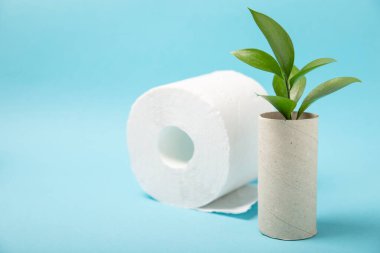 Boş tuvalet kağıdı rulosu. Arka planda tuvalet kağıdı ruloları. Tuvalet kağıdı tüpü. Mesaj için yer. Uzayı kopyala Düz yatıyordu. Çevre dostu yeniden kullanım geri dönüşümü