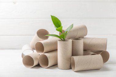 Boş tuvalet kağıdı rulosu. Boş tuvalet kağıdı ruloları ve beyaz arka plan için bitki. Tuvalet kağıdı tüpü. Mesaj için yer. Uzayı kopyala Düz yatıyordu. Çevre dostu yeniden kullanım geri dönüşümü