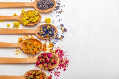 Ahşap bir zeminde ahşap kaşıklarda kurumuş bitki ve böğürtlen çayı. Şifalı şifalı bitkiler. Alternatif tıp konsepti. Linden, Calendula, Cornflowers, marigold, tansy, tea rose.