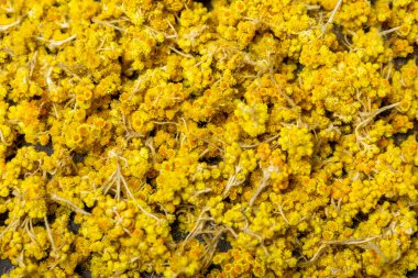 Ahşap bir zeminde kurumuş bitki ve çilek çayı. Şifalı bitkiler. Alternatif tıp konsepti. Linden, calendula, cornflowers, marigold, tansy, tea rose.